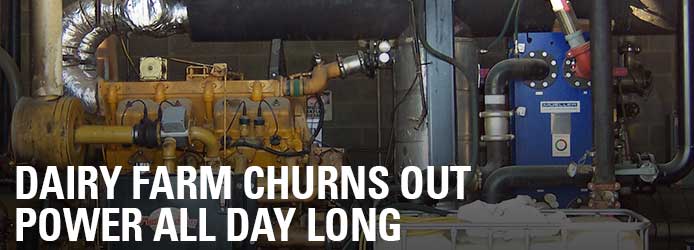 DAIRY FARM CHURNS OUT POWER ALL DAY LONG