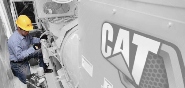 Cat Power Systems
